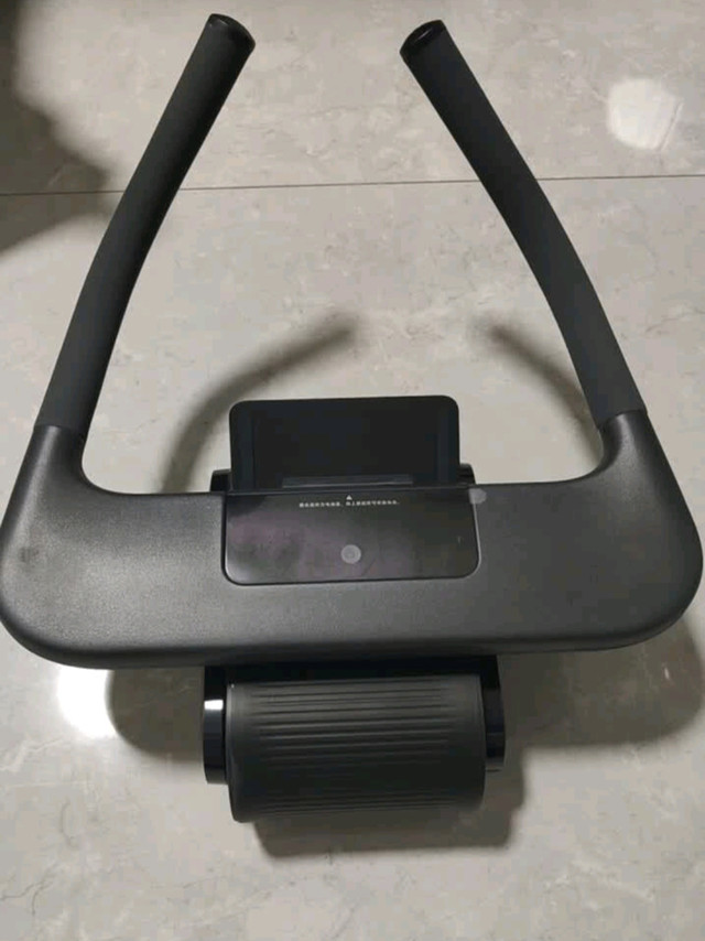 我的年度运动搭子：米家智能健腹轮