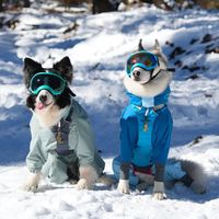 阿迪达斯推出新中式宠物服饰引热议，52+用户观点全景呈现