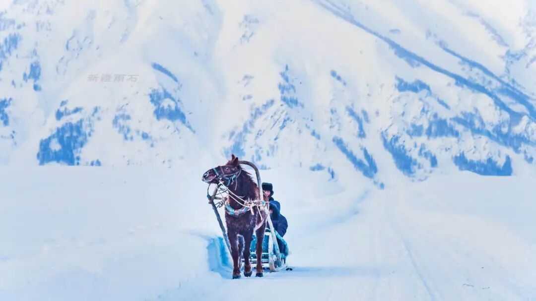 探秘喀纳斯冬旅:蓝冰雾凇与雪原火锅