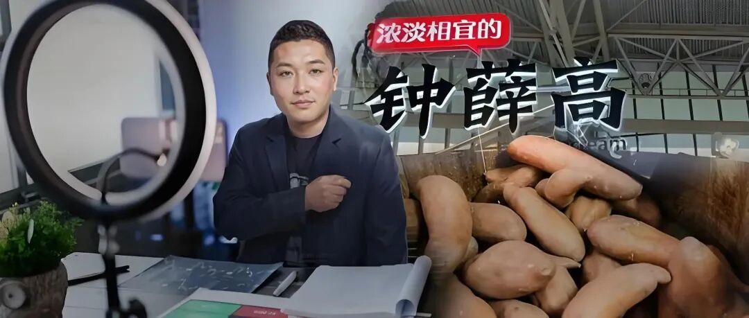 钟薛高破产：网红品牌的营销泡沫