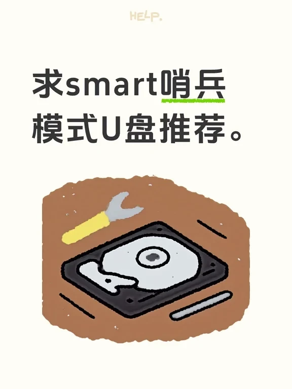 求smart哨兵模式U盘推荐
