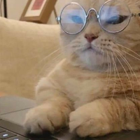 如何科学选择猫粮帮助猫咪长肉