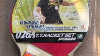 双鱼026A，找回童年打球的快乐