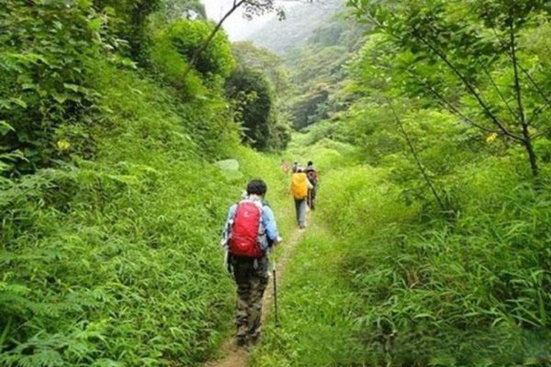 征服广州最高峰:天堂顶徒步指南