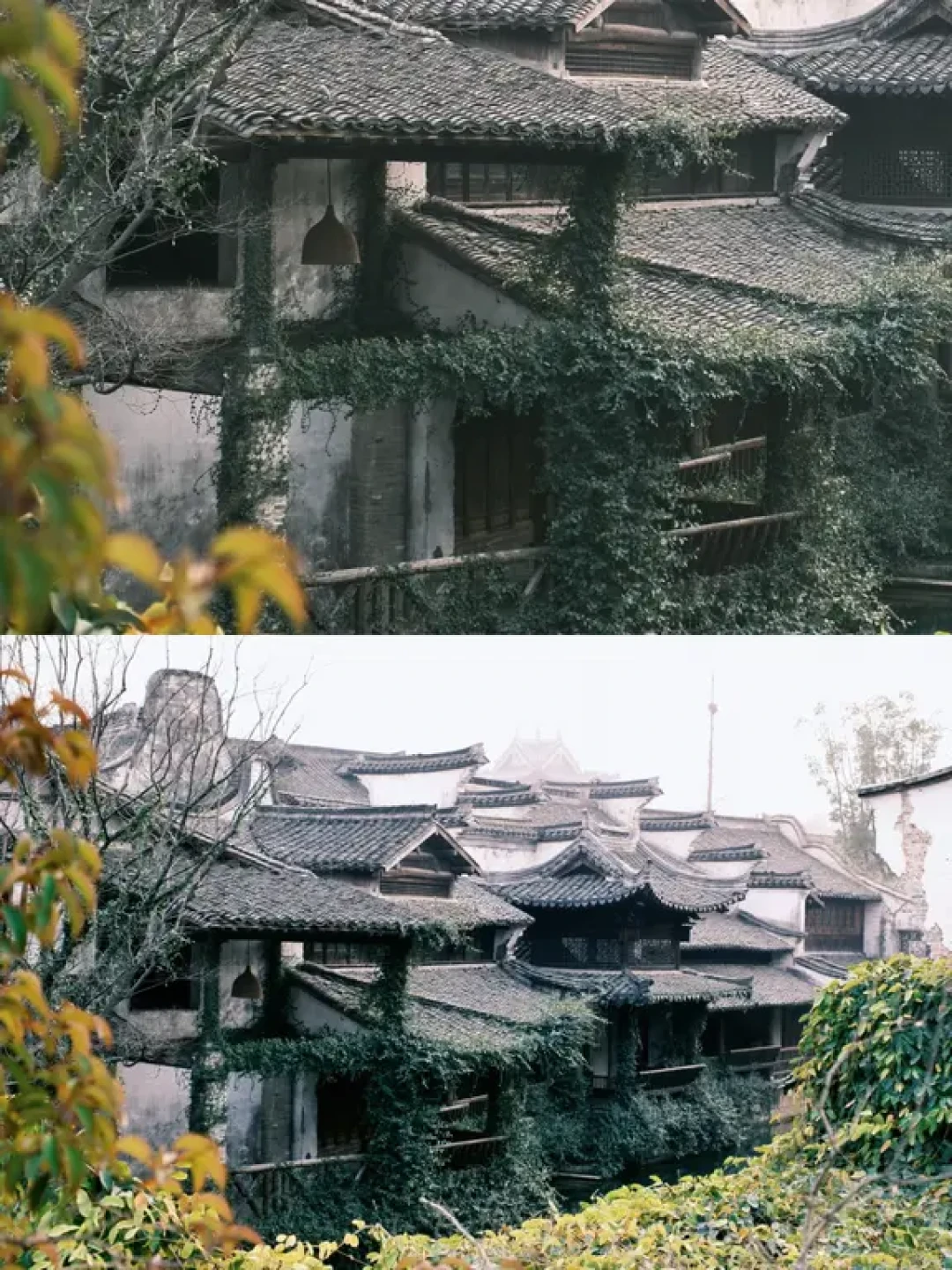 濮院时尚古镇：古镇里的另一种可能
