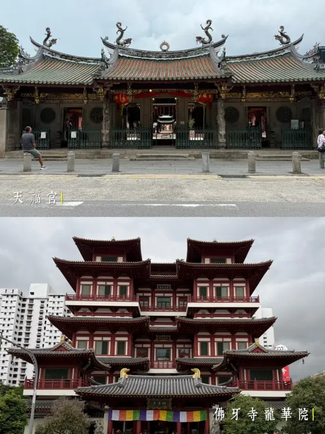 新加坡漫步指南:从本土生活到华人历史