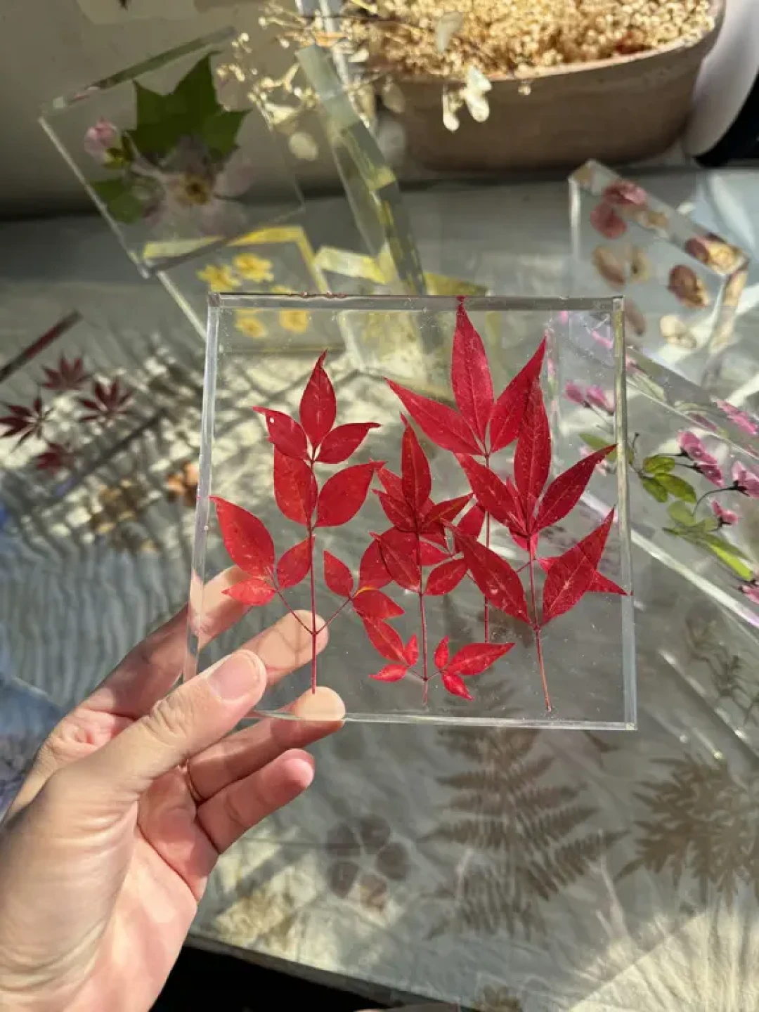 滴胶封存秋叶:一份不变色的季节限定手作