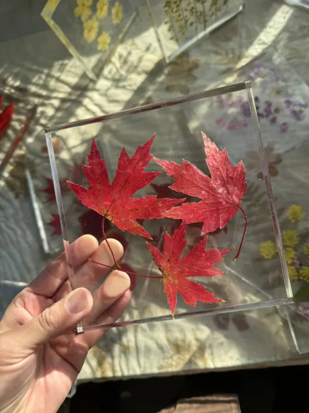 滴胶封存秋叶:一份不变色的季节限定手作