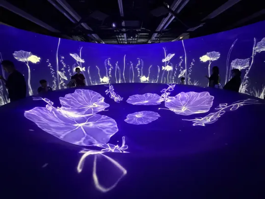 故宫纹饰数字展:一场沉浸式美学体验