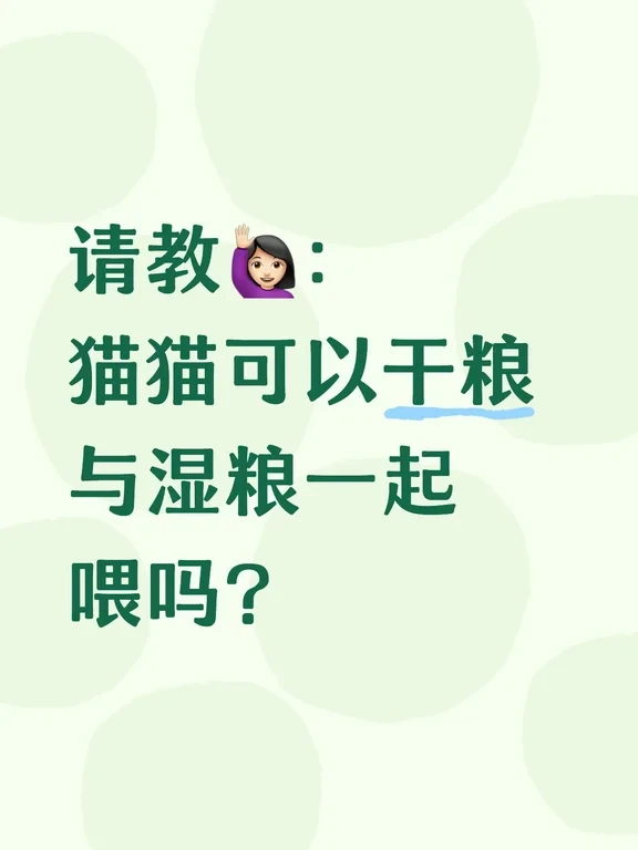 请教丨猫猫可以干粮与湿粮一起喂吗？