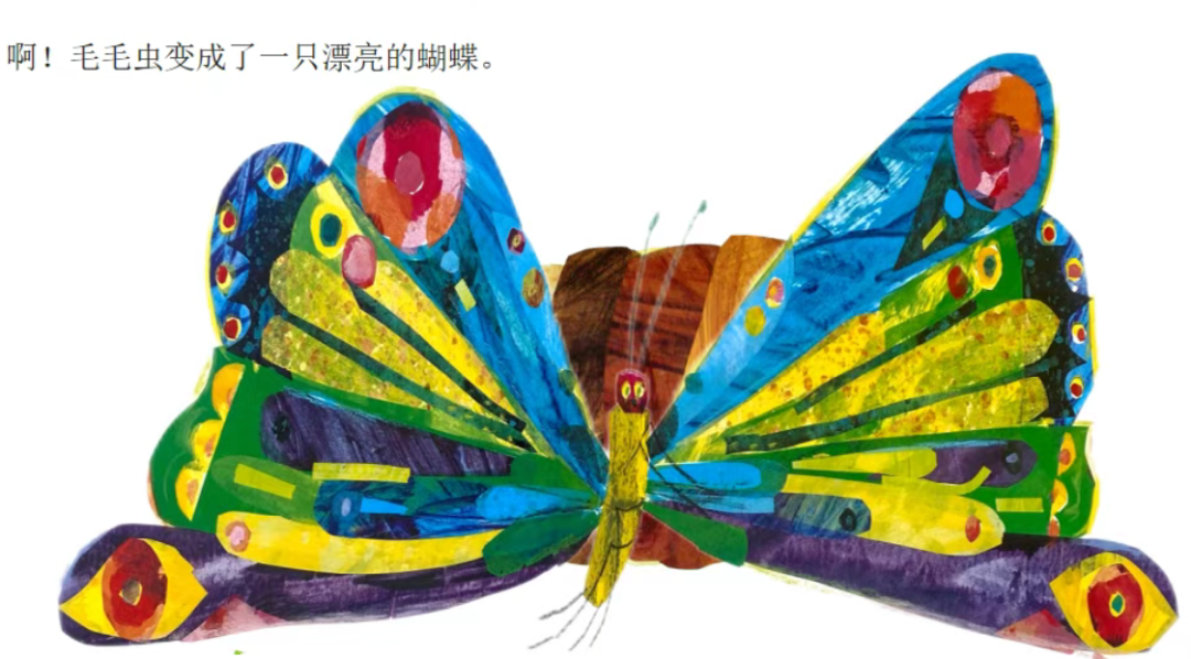 《好饿的毛毛虫》：一本绘本的多维教育探索