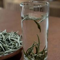 如何一眼识破冒充白毫银针的“李鬼”？