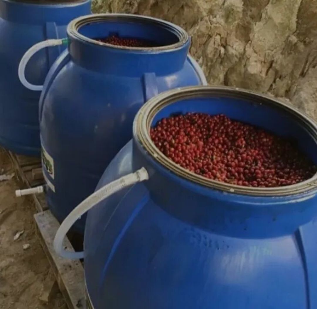 寻味新年:三款精品咖啡豆深度解析