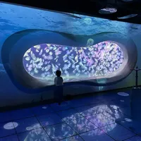 天津极地海洋公园一日游，省时省力全攻略