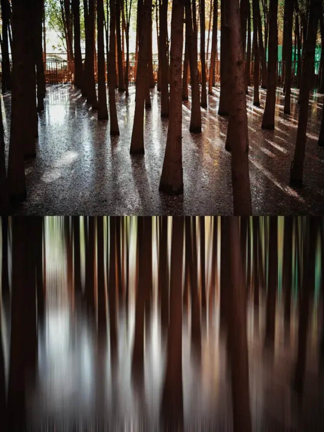 拍出油画感风景照,慢门技法全解析