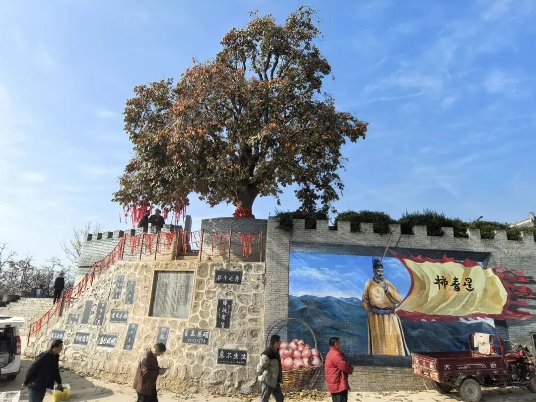 冬日寻味：富平柿饼与云南金柚的地道之选