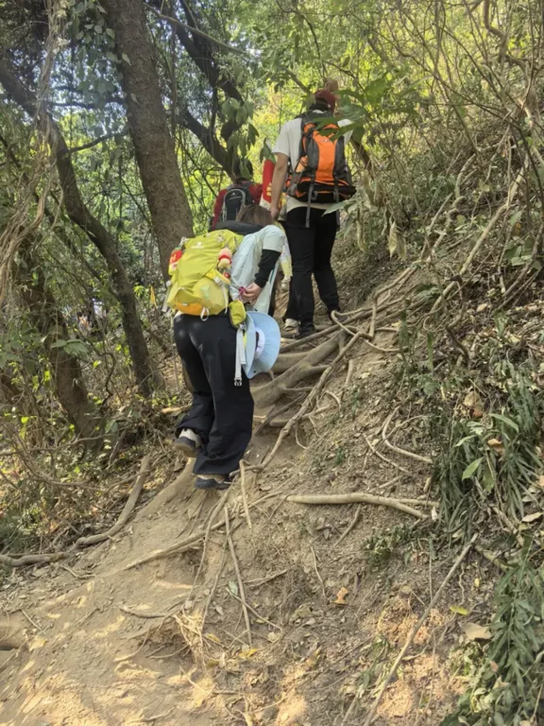 西樵山探洞劝退指南与实用建议