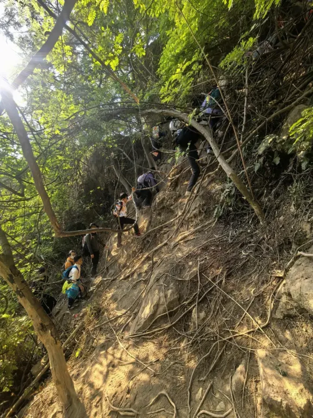 西樵山探洞劝退指南与实用建议