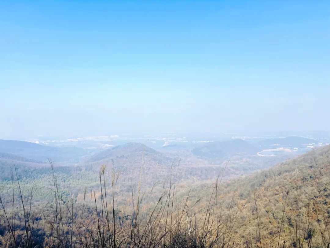 新年第一爬!新手也能轻松get的亲子友好老山野道环线徒步,爬山还能撸猫祈福