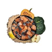 新手养猫选粮指南：8款热门猫粮深度对比