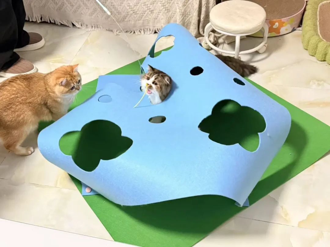 40元自制猫咪游戏毯,告别塌陷秘诀