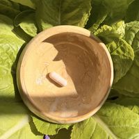 旺旺女性益生菌：便捷胶囊的真实体验