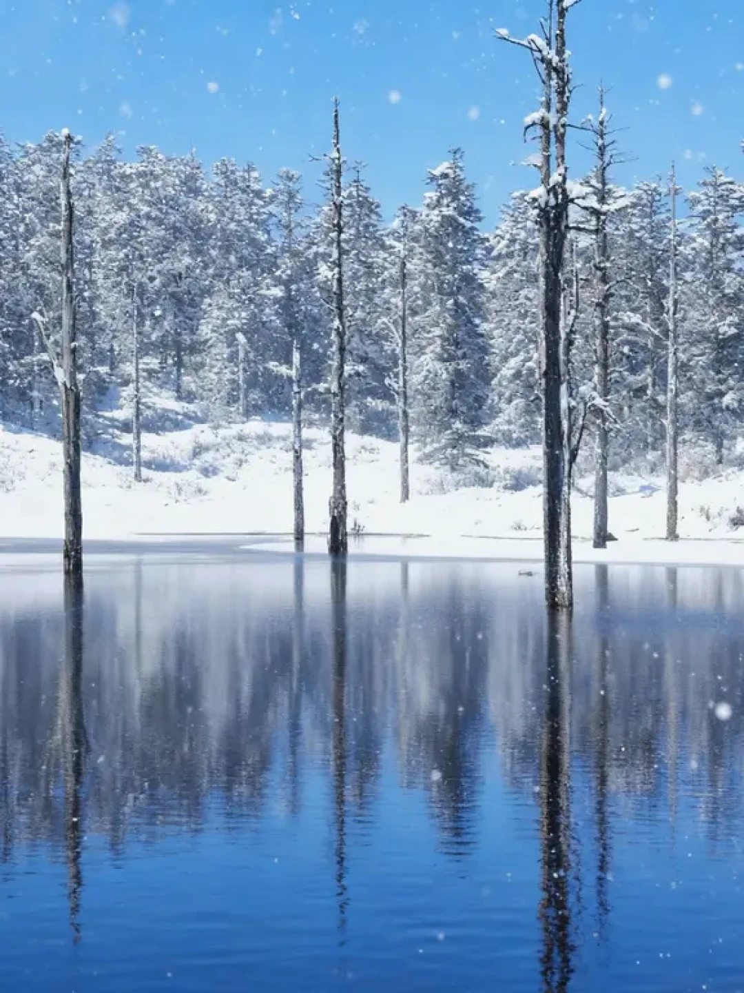 瓦屋山保姆级攻略,三种路线任你选