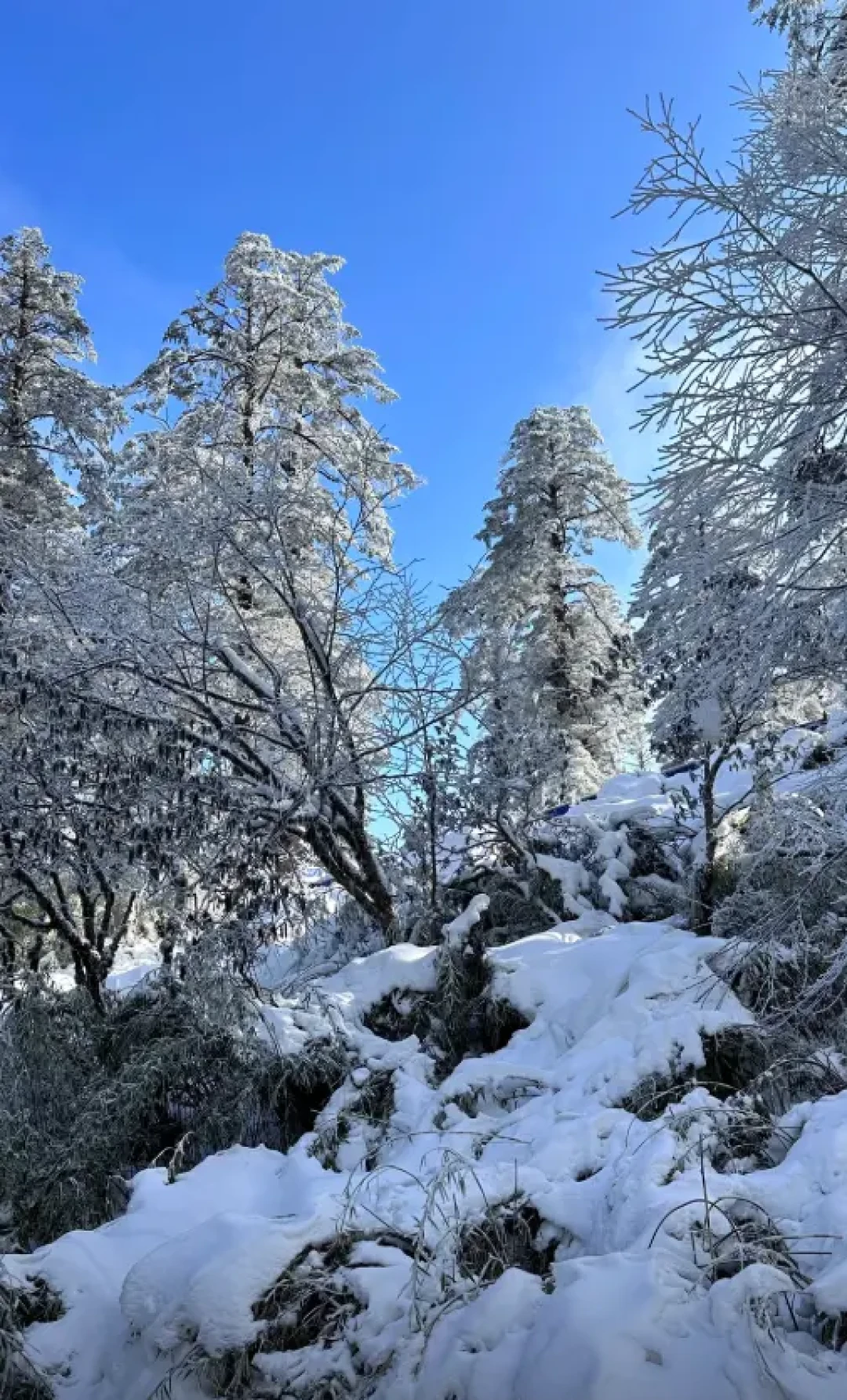 瓦屋山保姆级攻略,三种路线任你选
