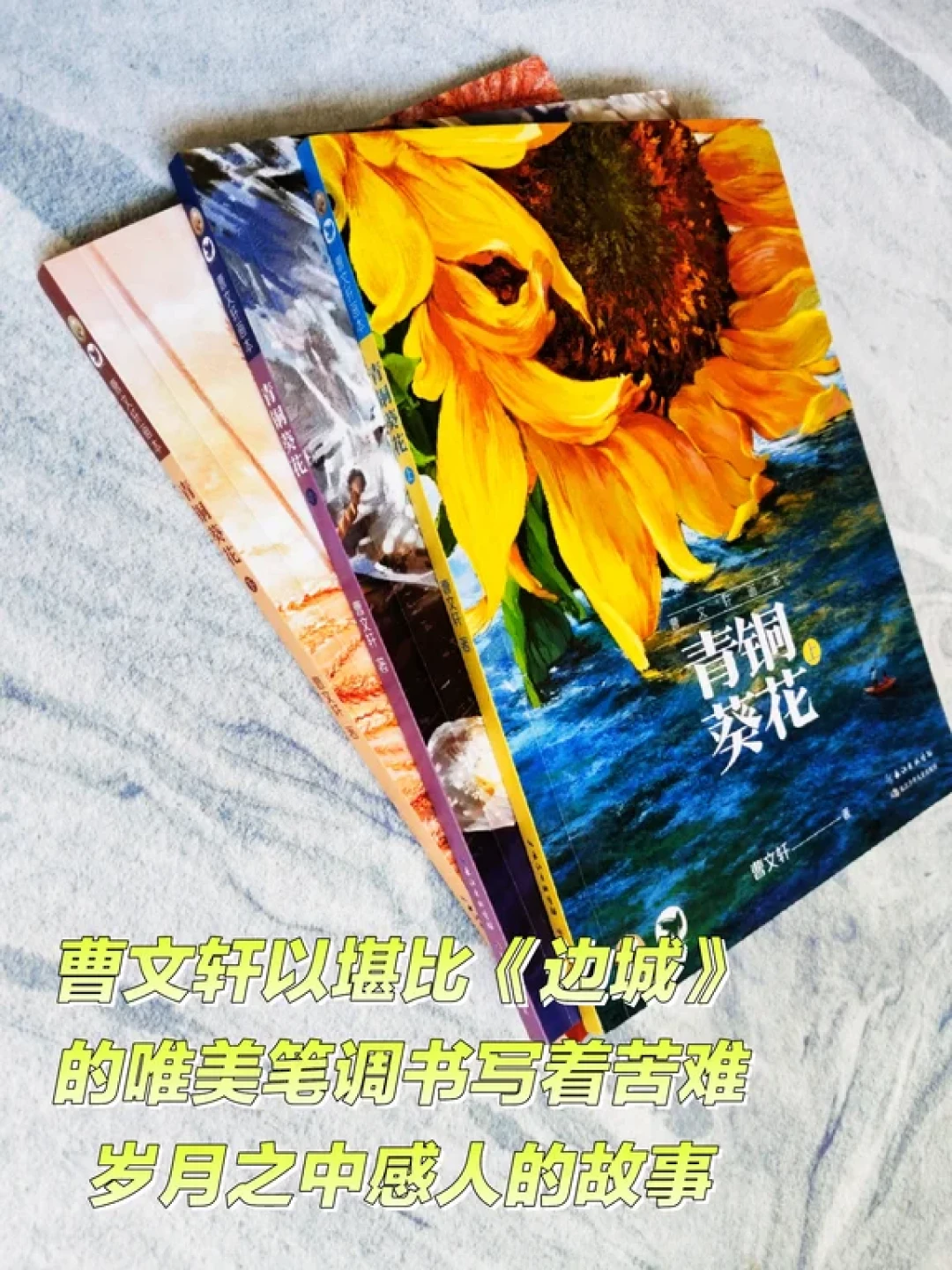 《青铜葵花》新读:在苦难中开出的唯美之花