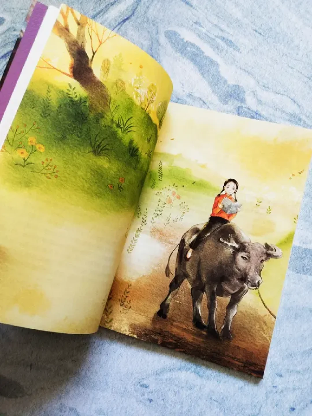 《青铜葵花》新读:在苦难中开出的唯美之花