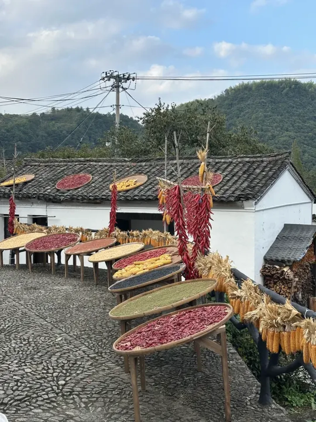 余姚慢游全攻略,带长辈享惬意一日