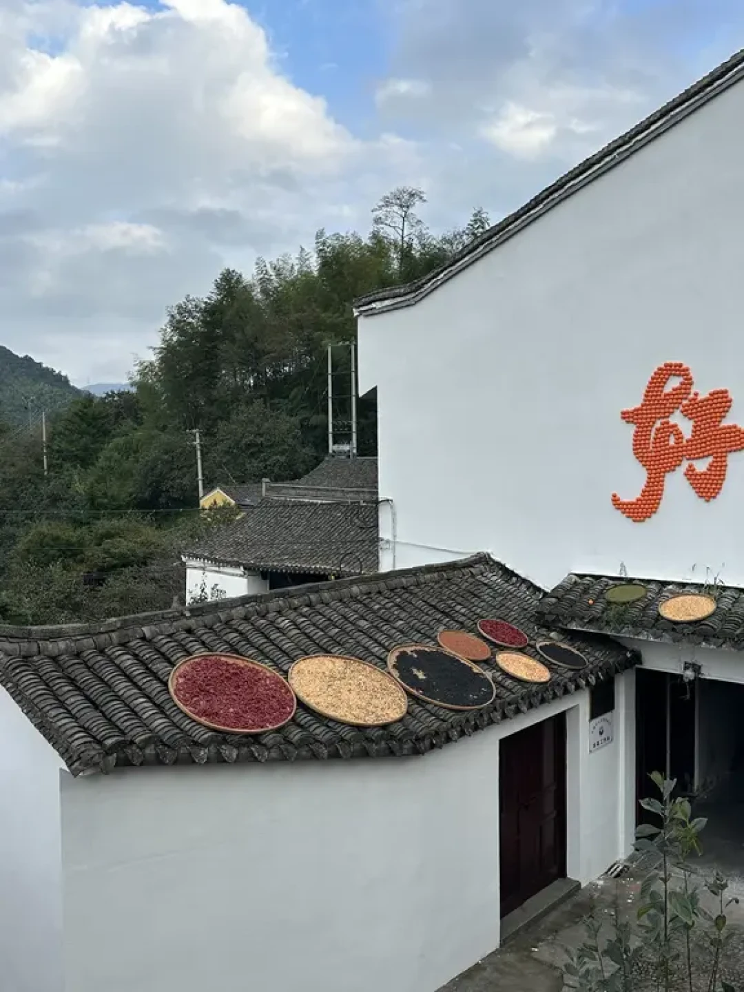余姚慢游全攻略,带长辈享惬意一日