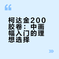 柯达金200胶卷：中画幅入门的理想选择