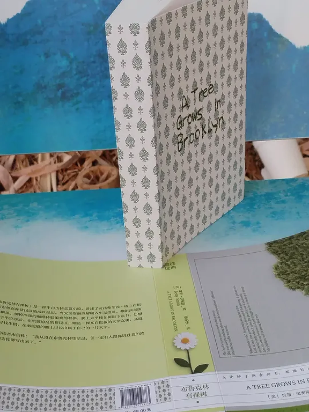《布鲁克林有棵树》：献给每个在困境中扎根的你