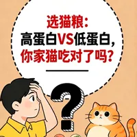 猫粮高蛋白与低蛋白，如何科学选择？