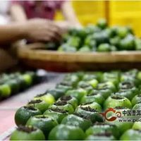 小青柑品饮全指南：从挑选到冲泡