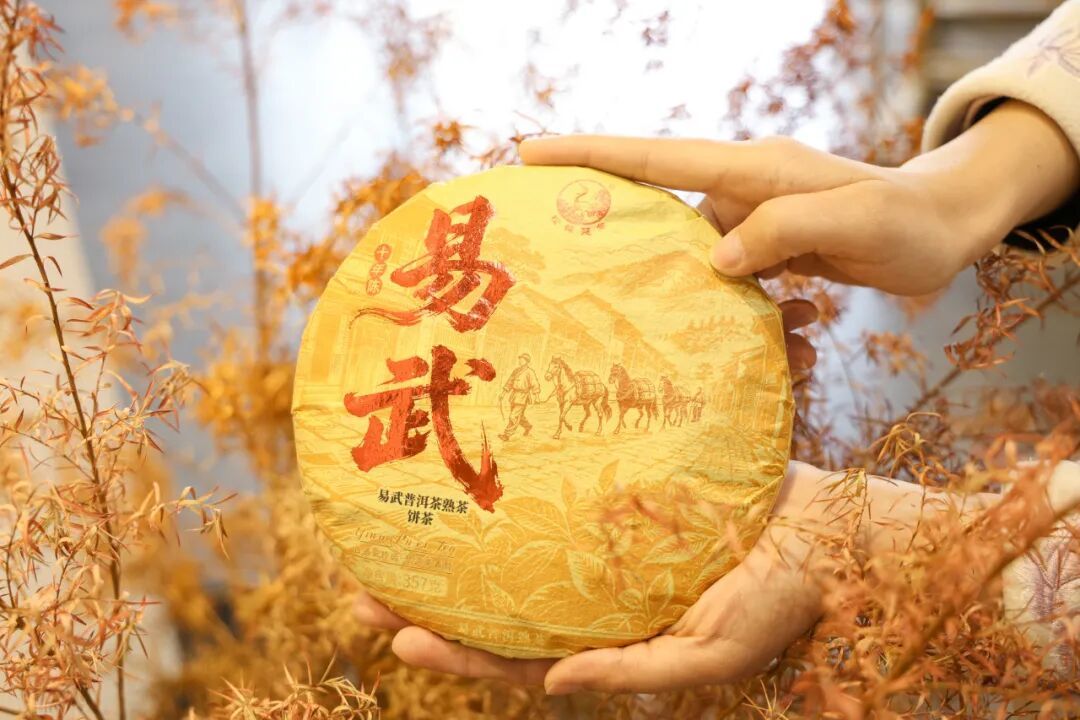 十年易武熟茶:时光如何雕琢下关沱茶韵味