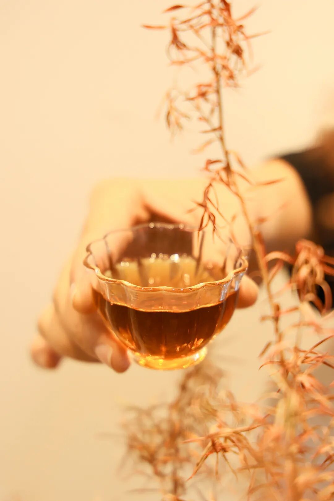 十年易武熟茶:时光如何雕琢下关沱茶韵味