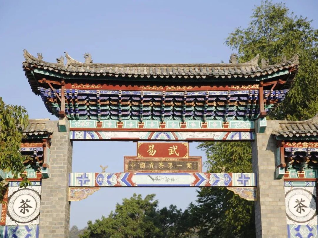 十年易武熟茶:时光如何雕琢下关沱茶韵味
