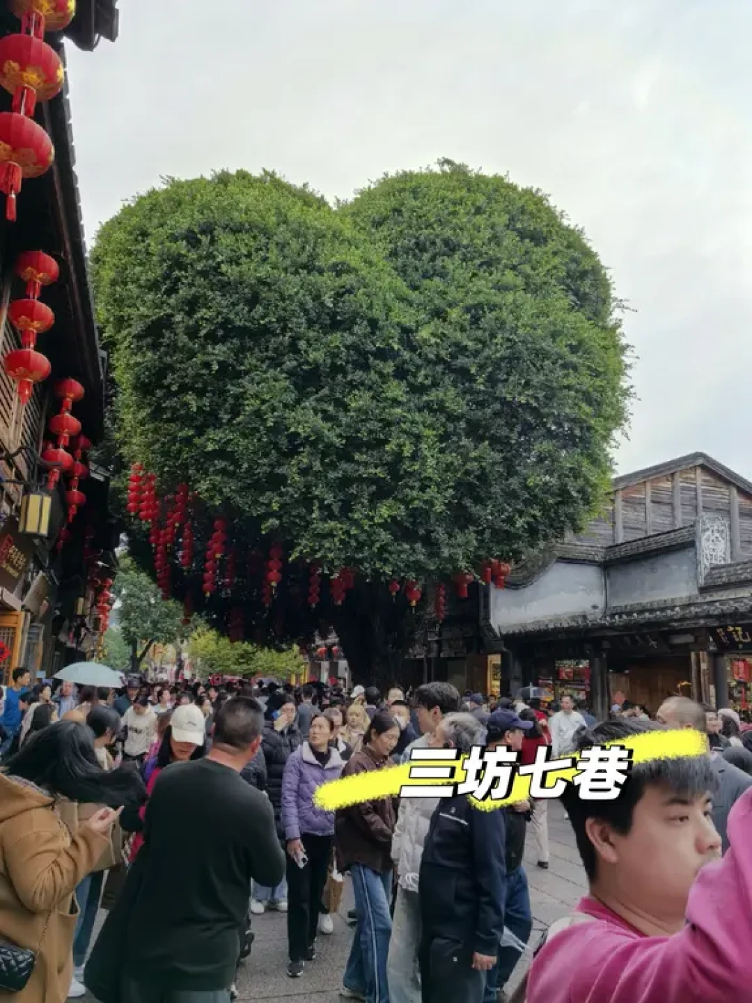 南京出发,解锁浙闽山海9日春节自驾