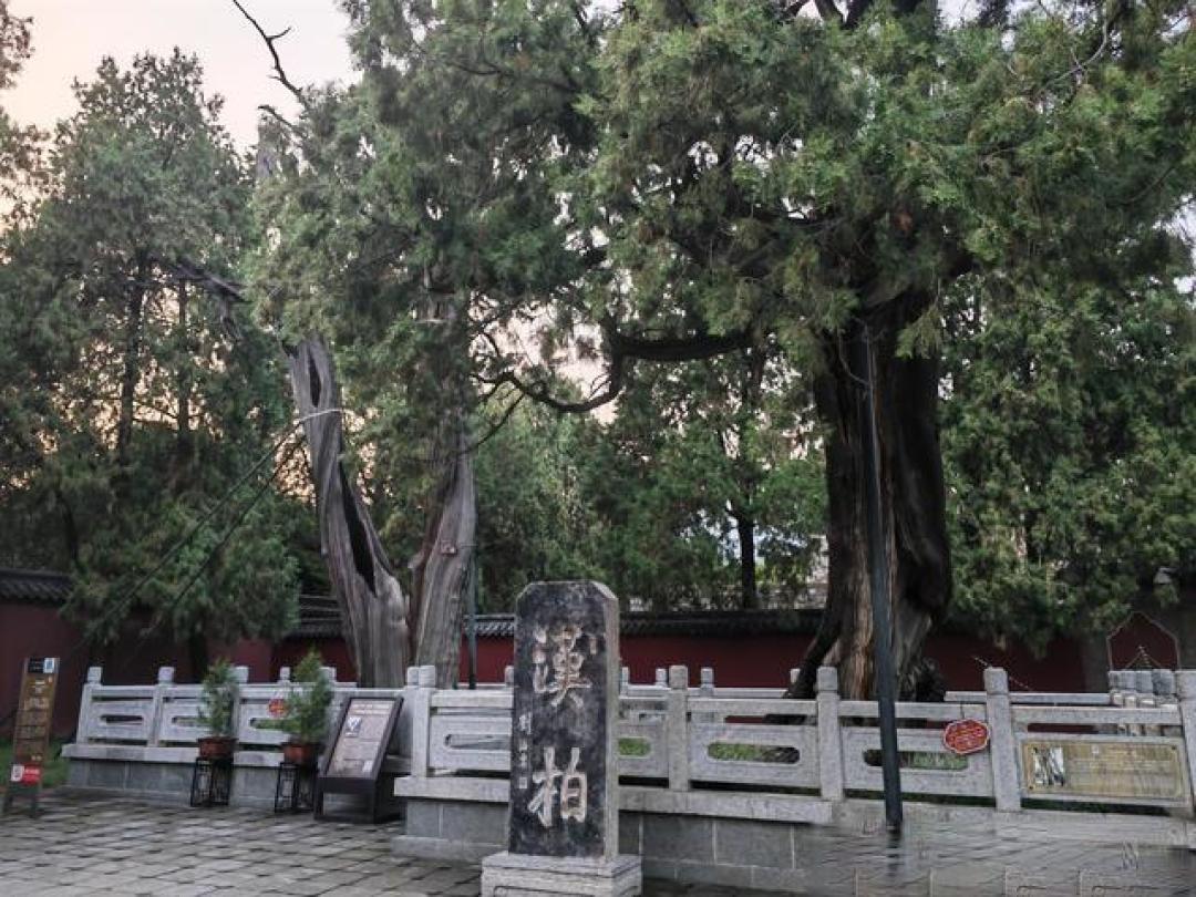 别只登泰山!岱庙游览指南,错过才是真遗憾
