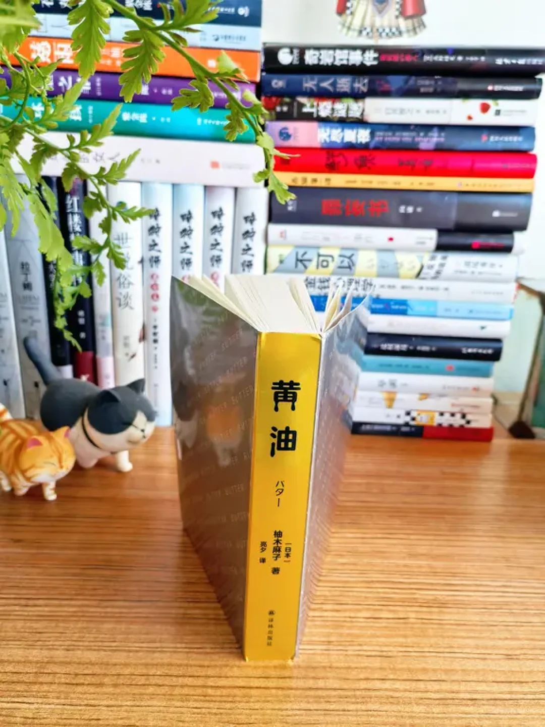 一本关于美食与罪恶的推理小说