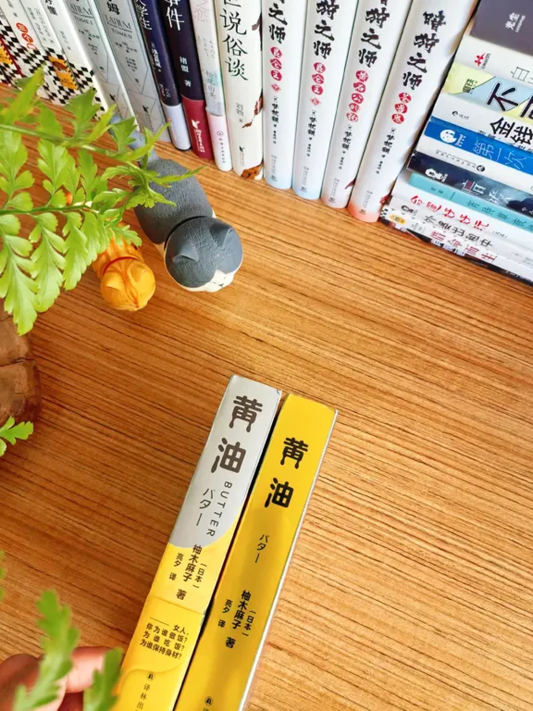 一本关于美食与罪恶的推理小说