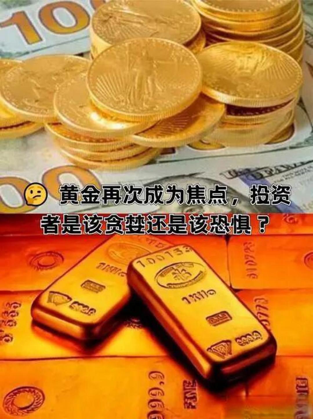 为何金豆攒得越多，亏得越惨？