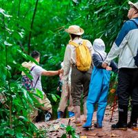 1月-2月来西双版纳基诺山雨林徒步，一定要看看这40余条路线的特点及装备建议【附详细小众亲子路线推荐】