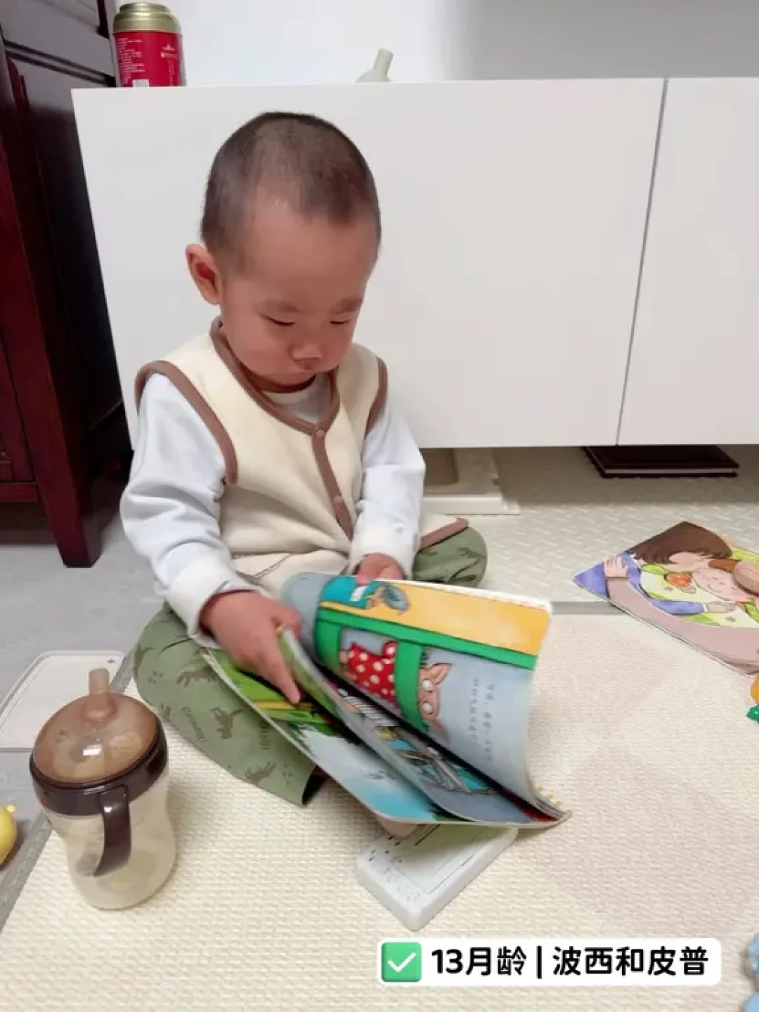 1岁宝宝书单:三阶段养成小书虫
