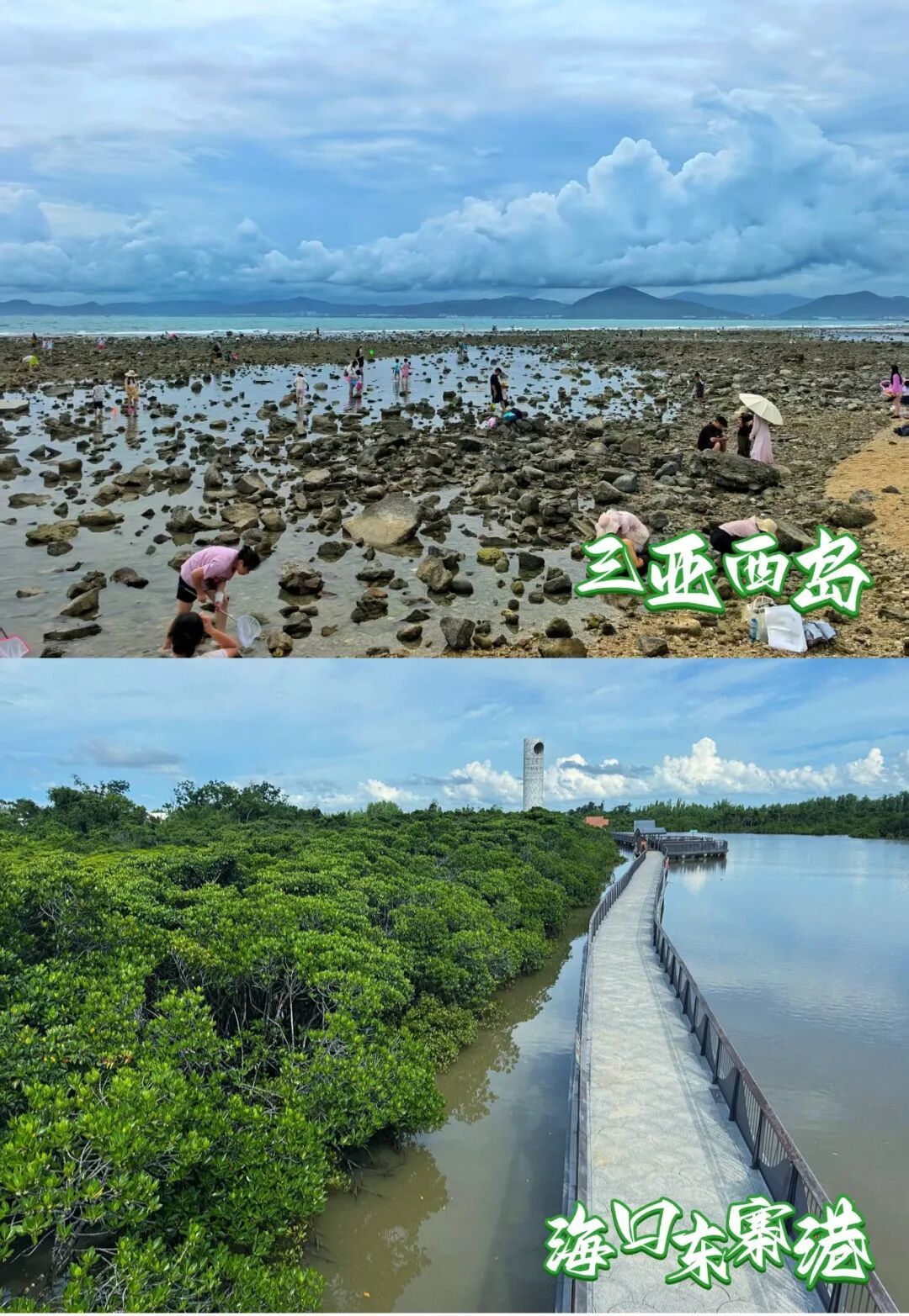 海南博物志:探索雨林到滨海的隐秘世界