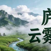 庐山云雾茶：千年底蕴，选购门道一文说清