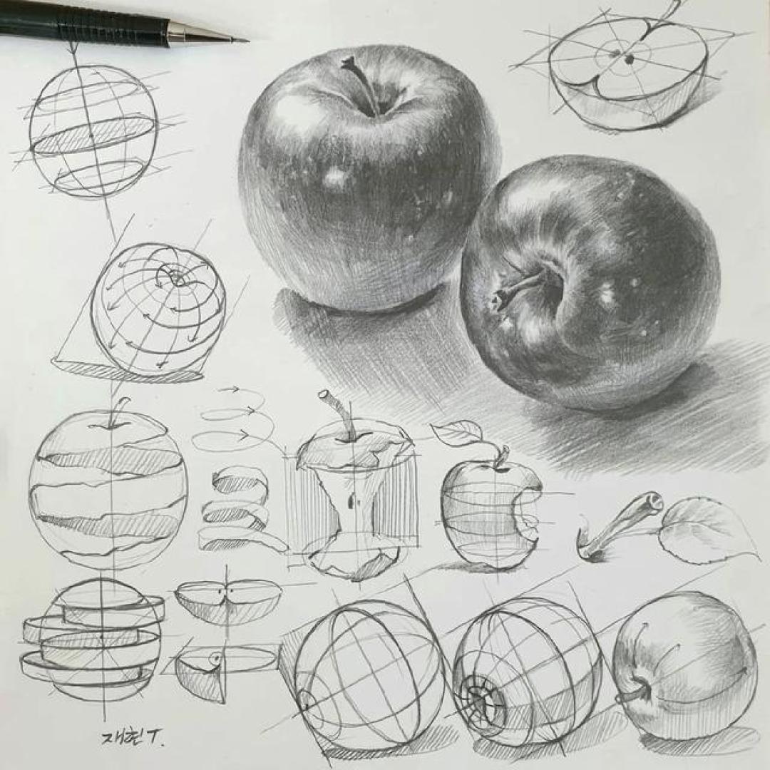 从结构到光影:解构素描大师安杰米