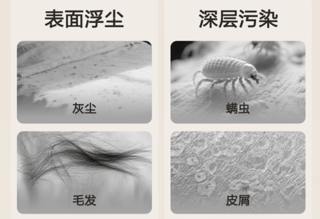除螨仪选购指南：十款热门机型深度横评